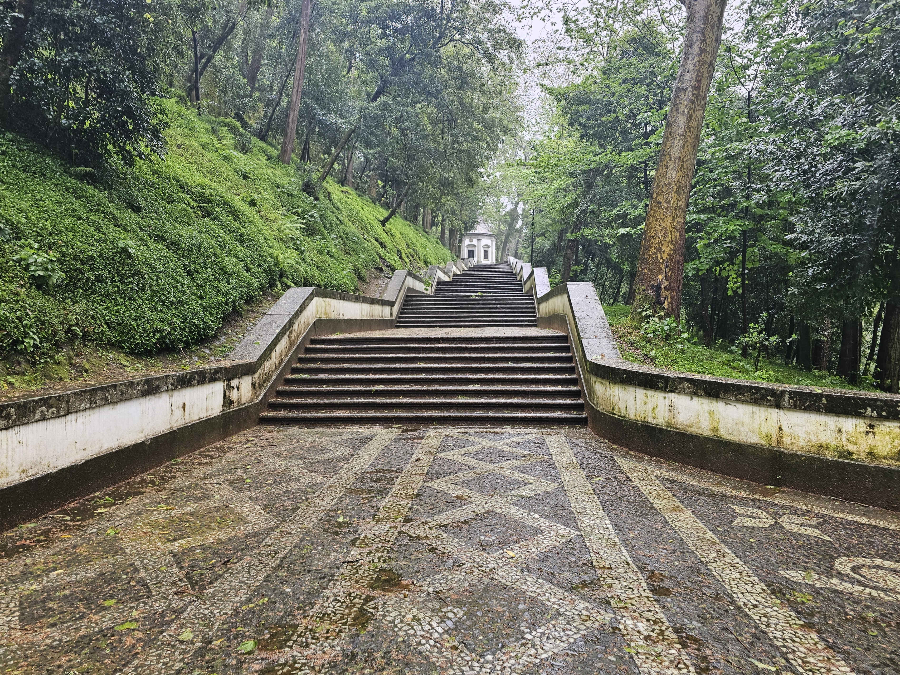 Braga